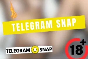 Lire la suite à propos de l’article Canal Telegram Leak Snap 