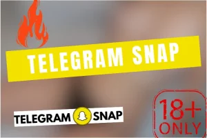 Lire la suite à propos de l’article Telegram Leak Snap Fr 