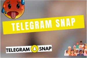 Lire la suite à propos de l’article Telegram Snap Girl 